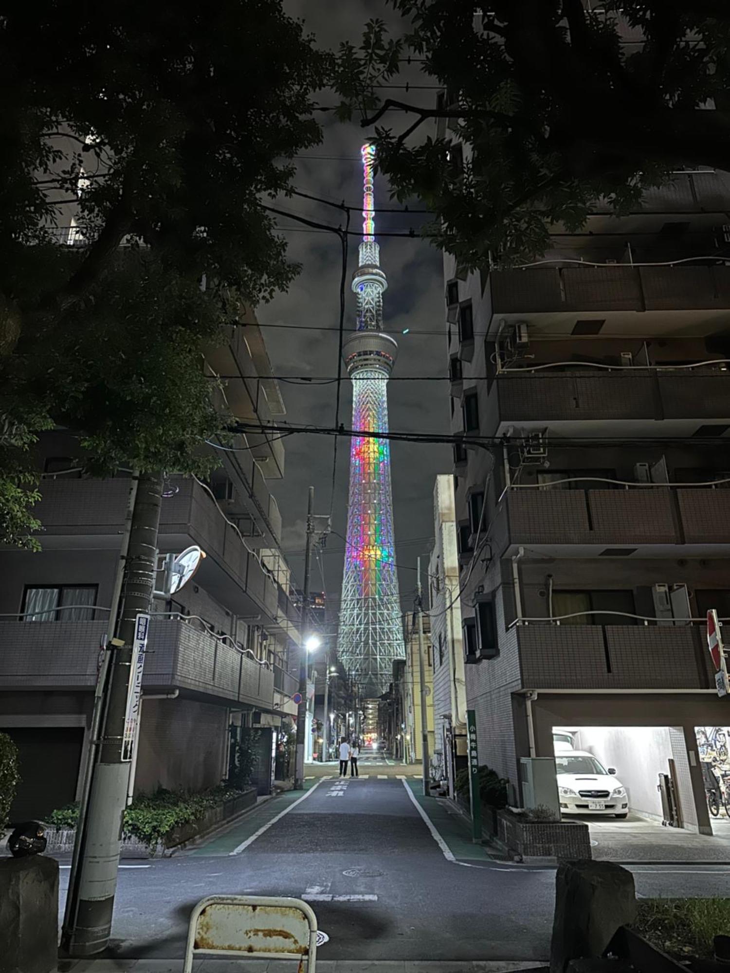Wise Park Mukojima Leilighet Tokyo Eksteriør bilde