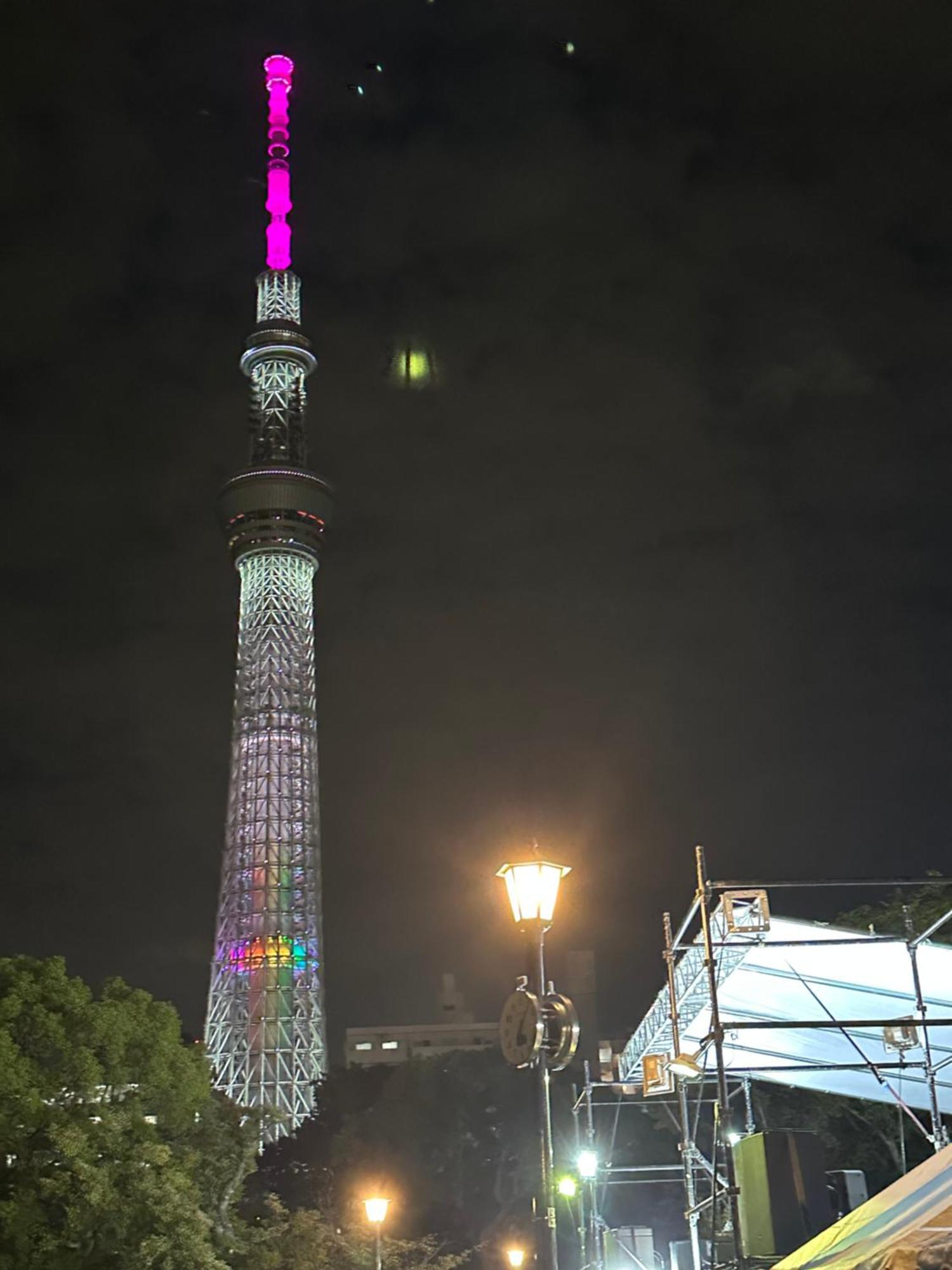 Wise Park Mukojima Leilighet Tokyo Eksteriør bilde